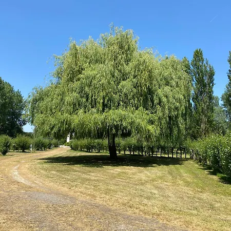 Le Marais Sauvage